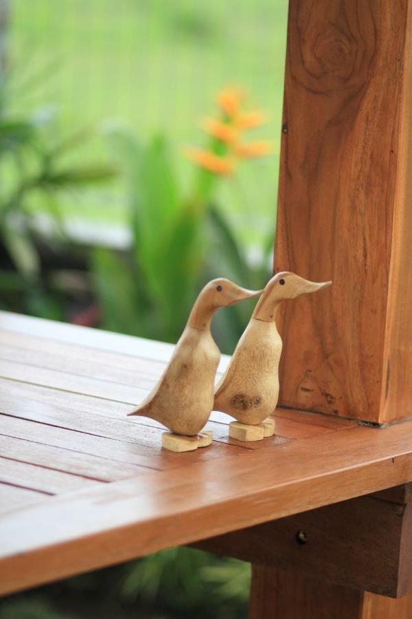 Private Pool Villa - Villa Saia Ubud 外观 照片