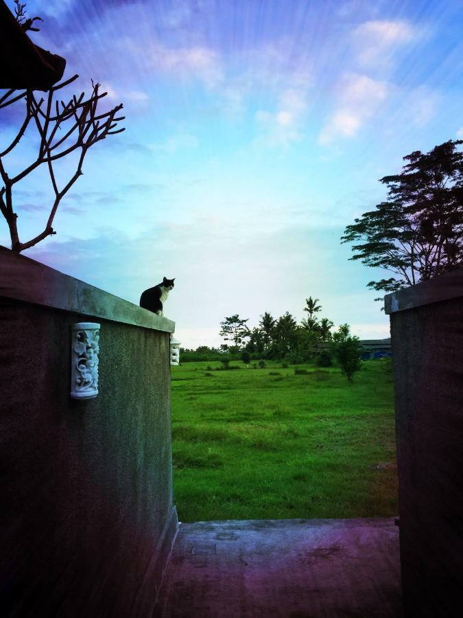 Private Pool Villa - Villa Saia Ubud 外观 照片
